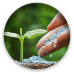 fertilizer.png